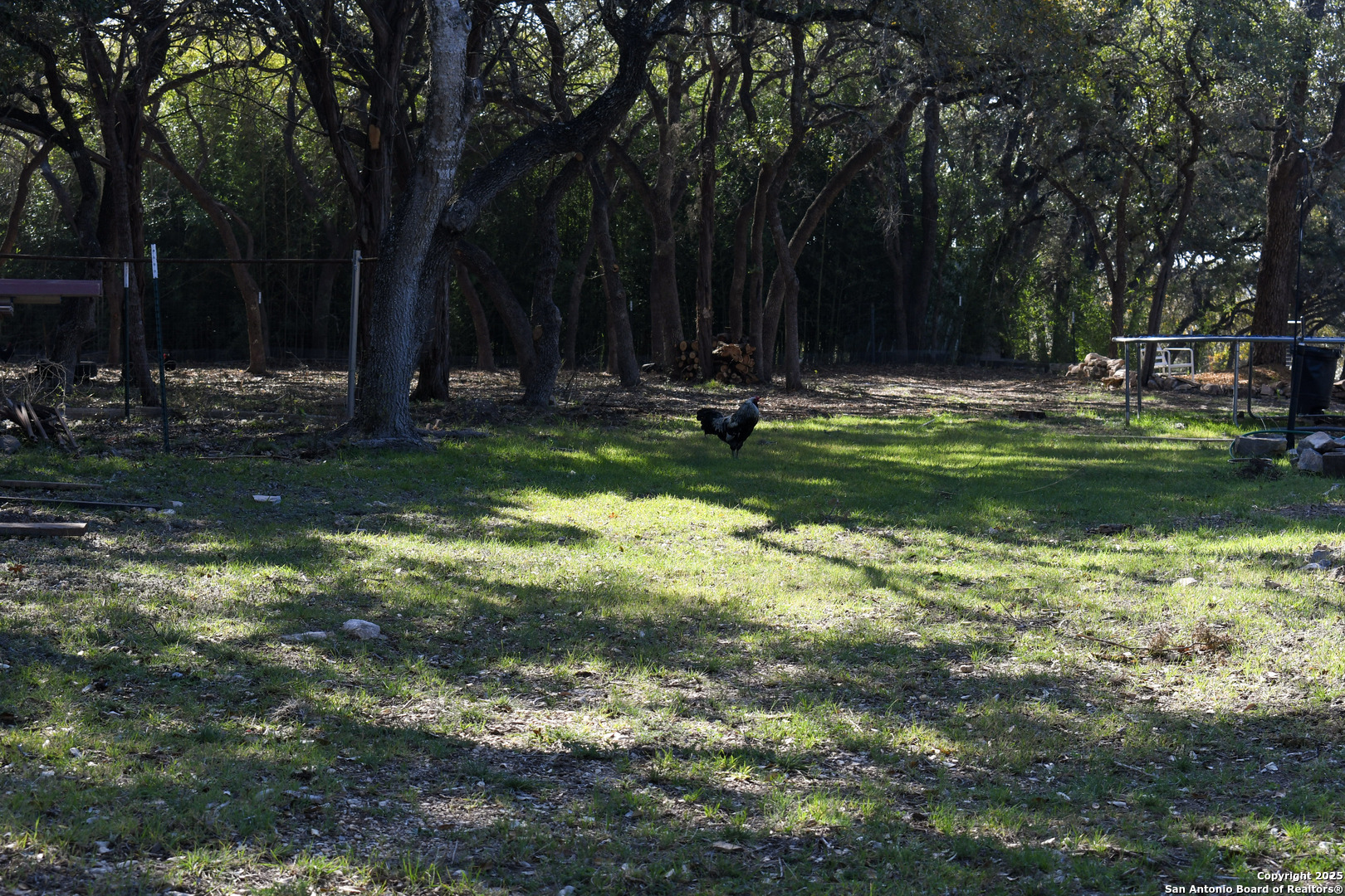 805 Bulverde Road Bulverde TX 78163