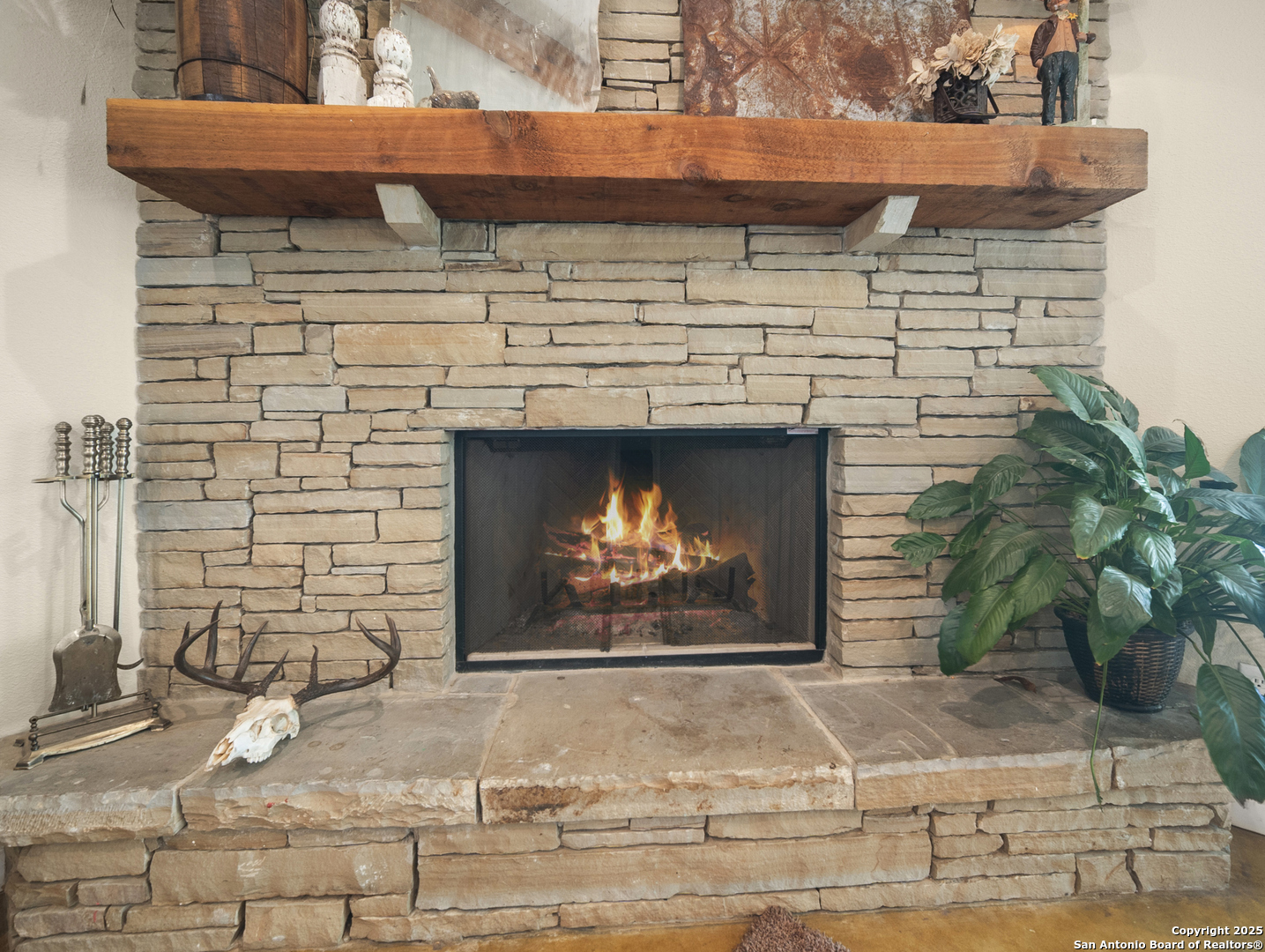 590 County Road 431 Pleasanton TX 78064