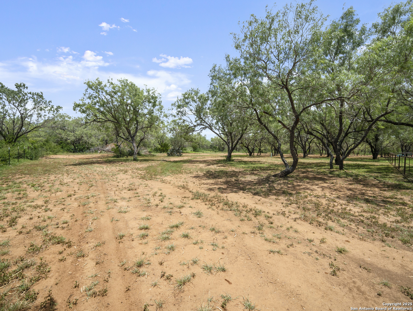 590 County Road 431 Pleasanton TX 78064
