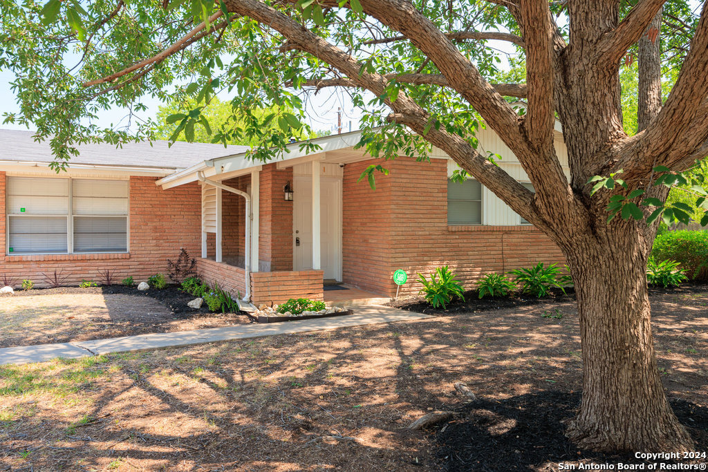 221 Windcrest Windcrest TX 78239