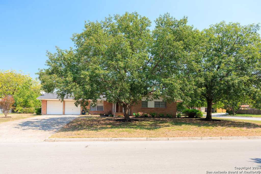 221 Windcrest Windcrest TX 78239