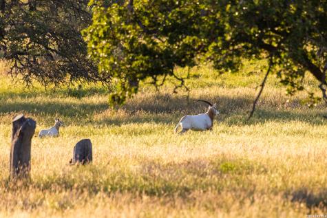 4205 N Fredericksburg Road Kerrville TX 78028