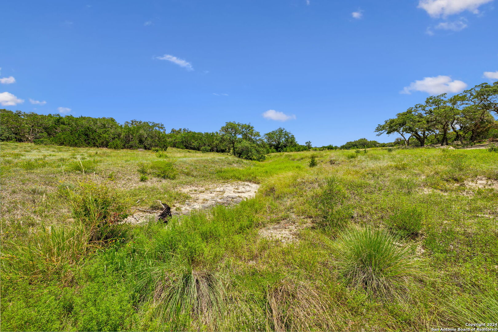 34713 Mayer Oaks Bulverde TX 78163