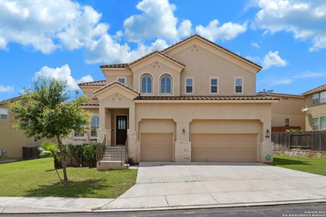 17919 Via Del Arbol San Antonio TX 78257