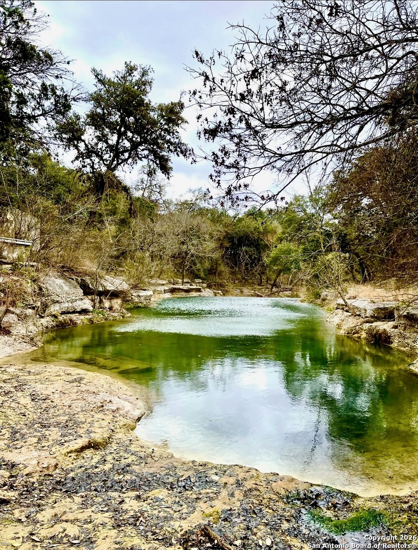 9623 Requa Helotes TX 78023
