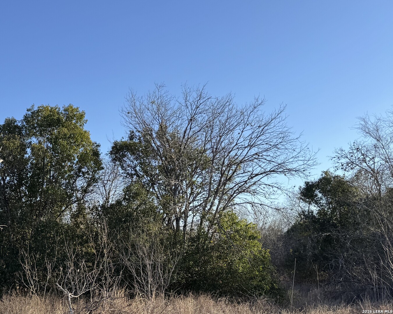 206 Dulce San Antonio TX 78228