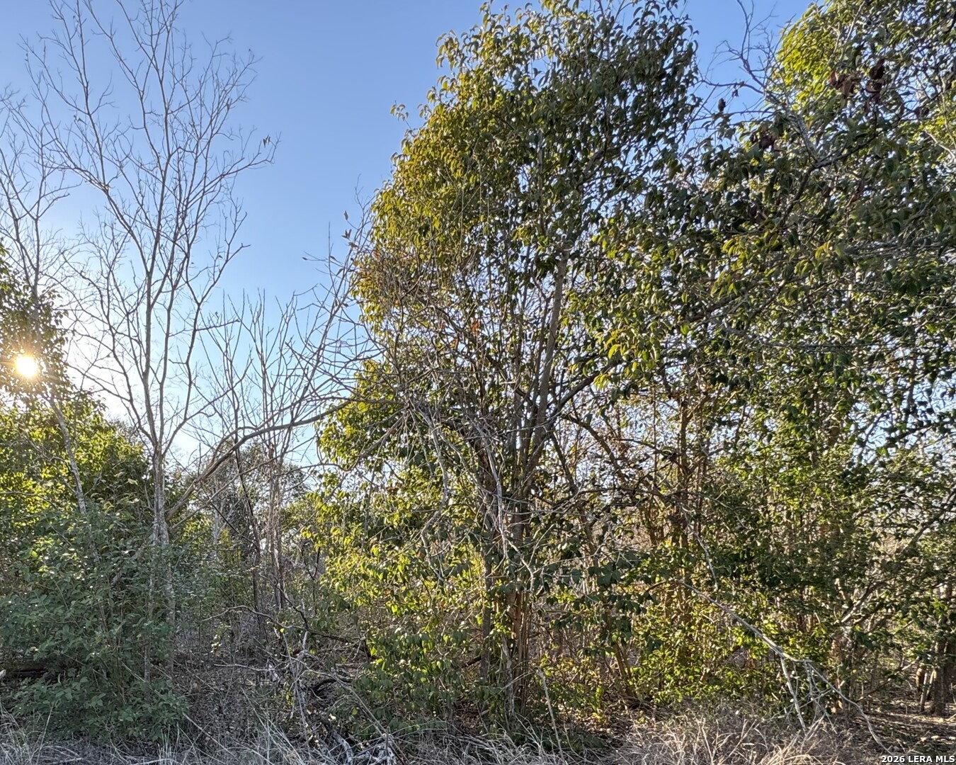 206 Dulce San Antonio TX 78228