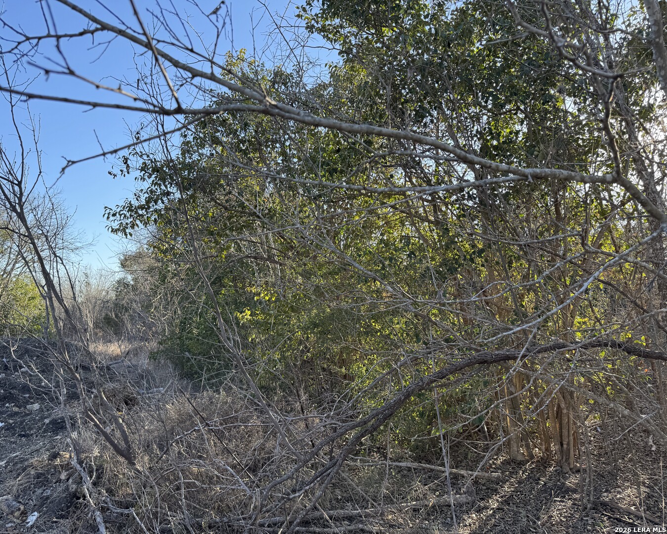 206 Dulce San Antonio TX 78228