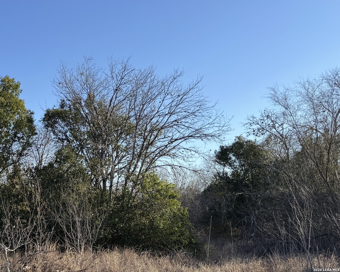 206 Dulce San Antonio TX 78228