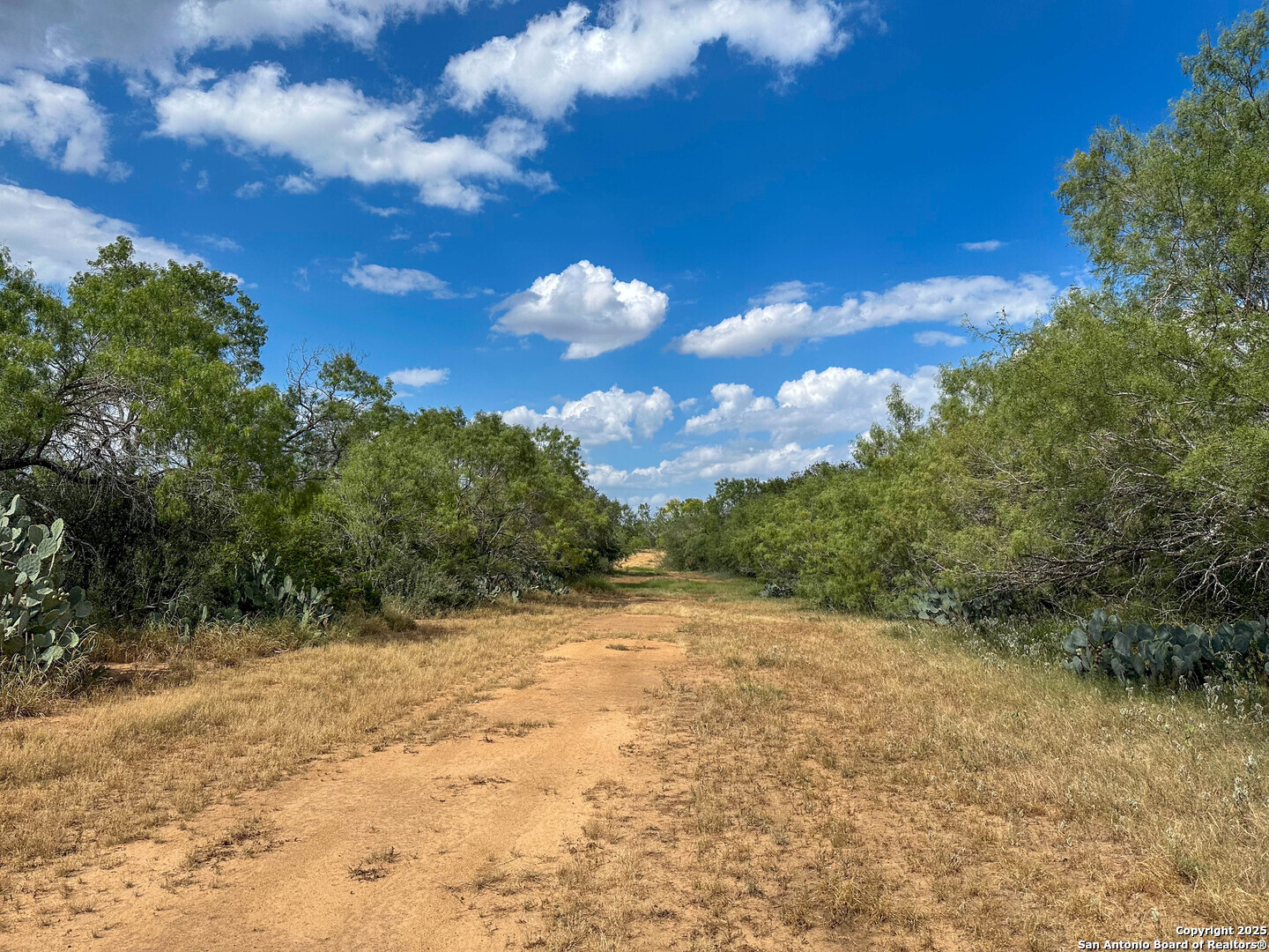6451 Bluntzer Jourdanton TX 78026