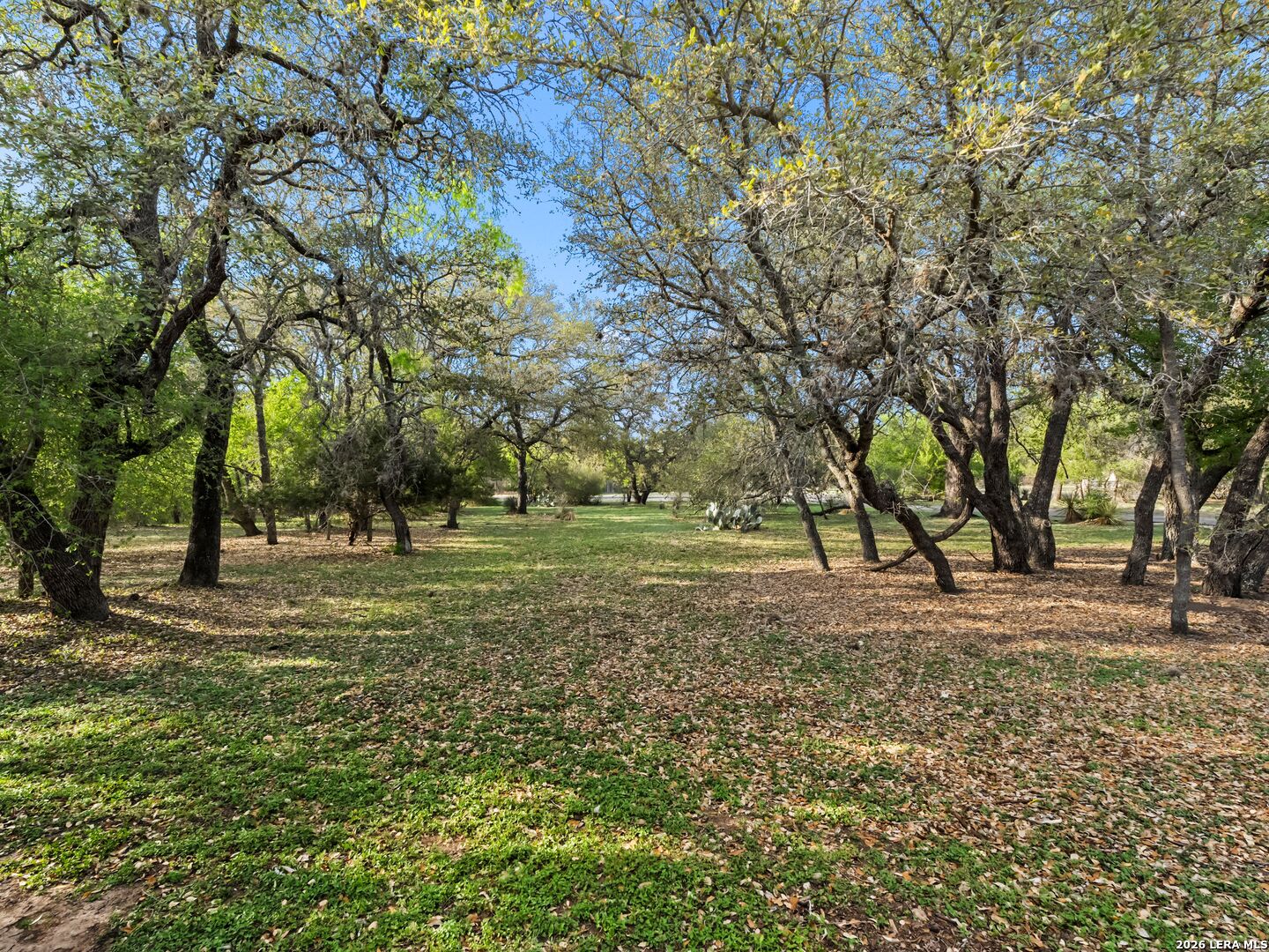 15110 Tamaron San Antonio TX 78253