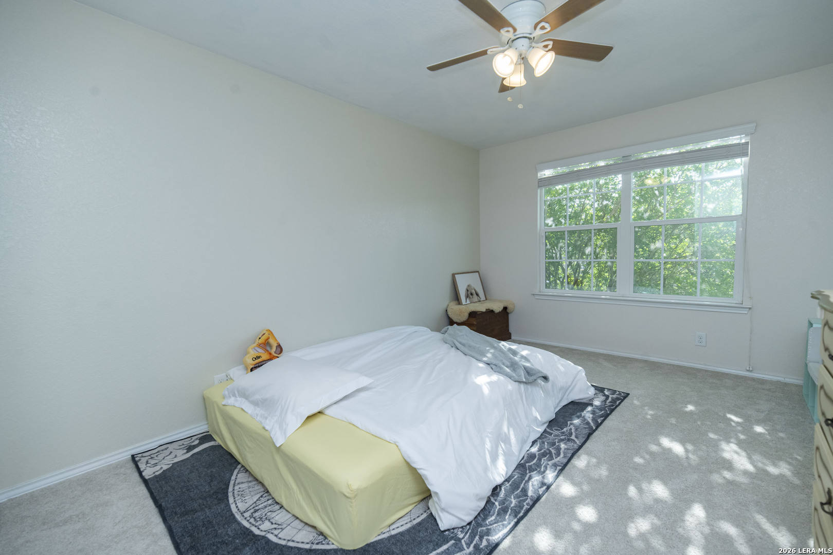 414 Eastern Phoebe San Antonio TX 78253