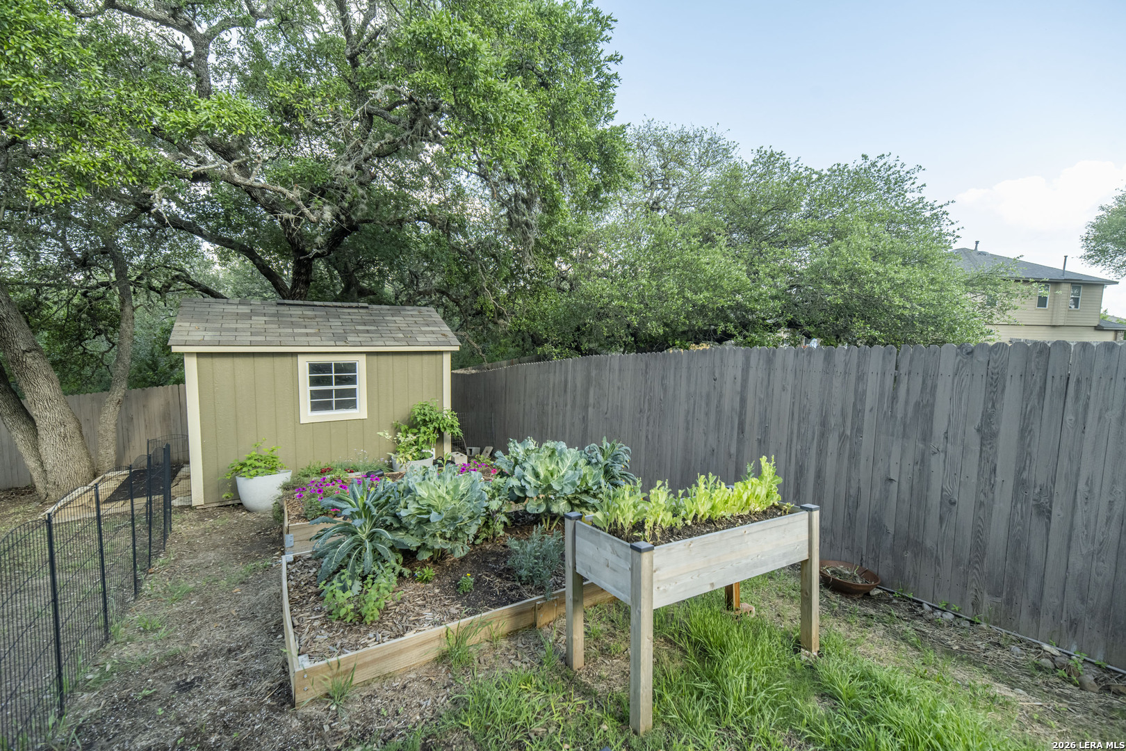 414 Eastern Phoebe San Antonio TX 78253