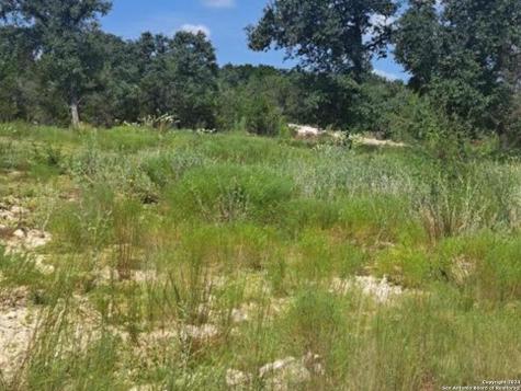 1064 Ken Wayne Spring Branch TX 78070