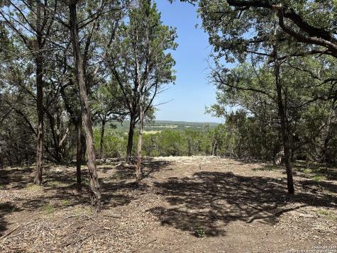 1229 Stallion Springs Drive Fischer TX 78623