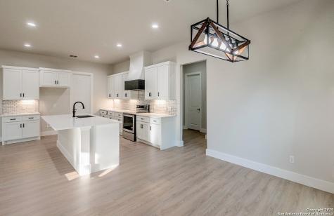 1229 Stallion Springs Drive Fischer TX 78623