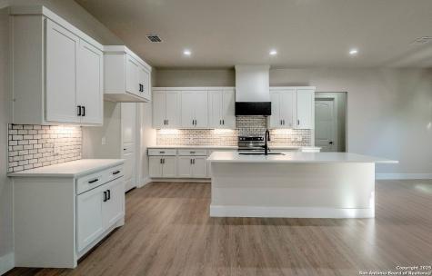 1229 Stallion Springs Drive Fischer TX 78623
