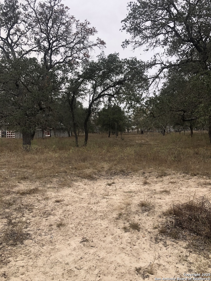 156 County Road 781 Natalia TX 78059