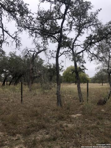 156 County Road 781 Natalia TX 78059