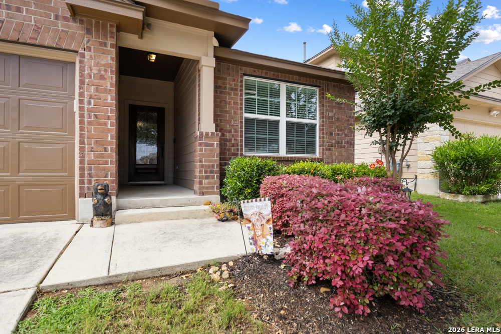 10514 Stampede Stead San Antonio TX 78254