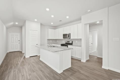 8547 Catnip Pass Elmendorf TX 78112