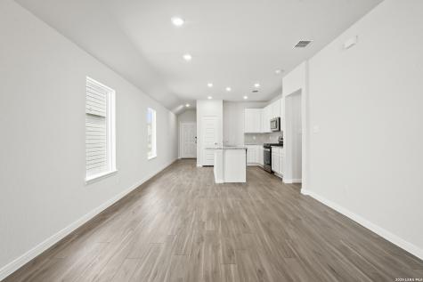 8547 Catnip Pass Elmendorf TX 78112