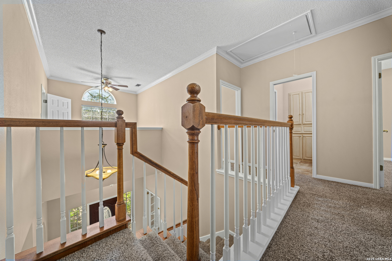 16502 Inwood Cove Drive San Antonio TX 78248