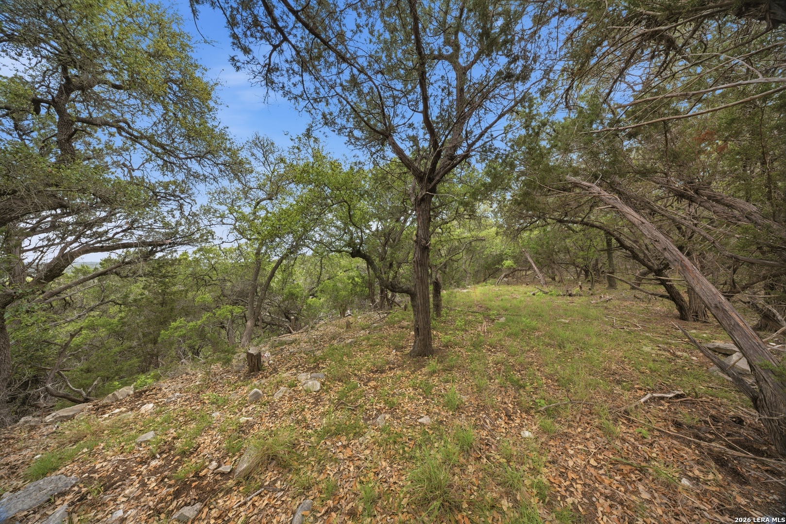 30244 Cloud View Drive Bulverde TX 78163