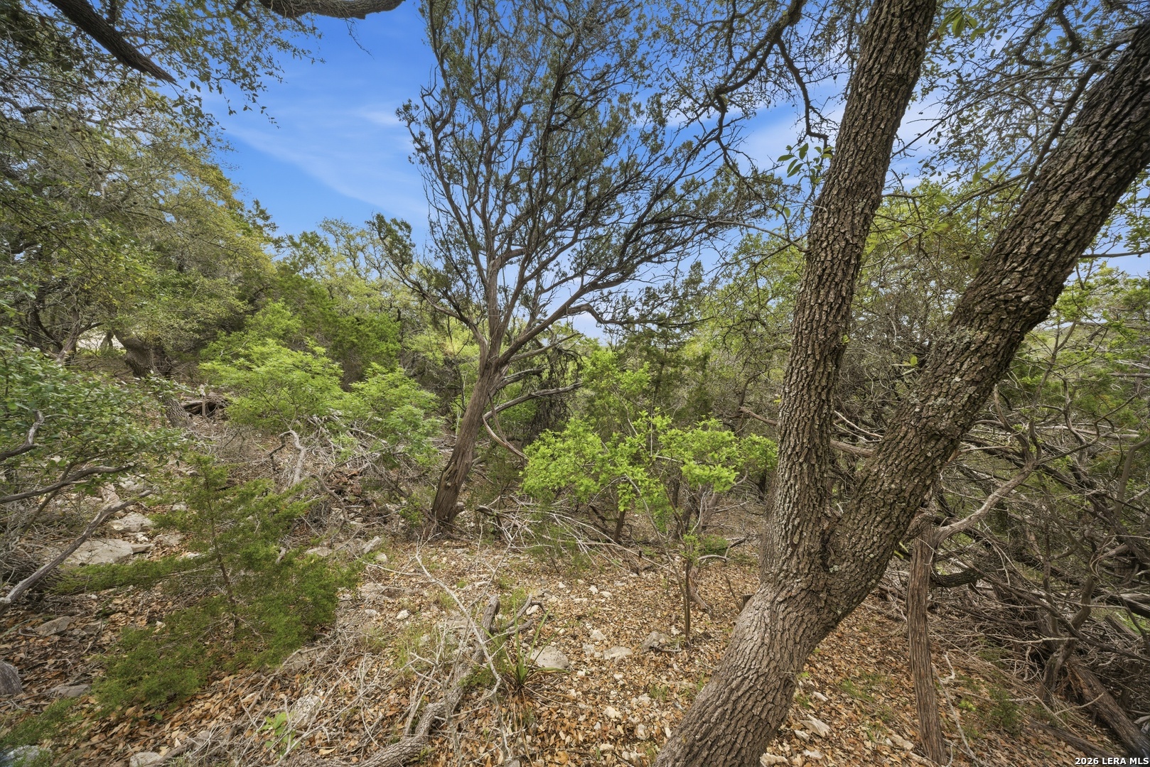 30244 Cloud View Drive Bulverde TX 78163