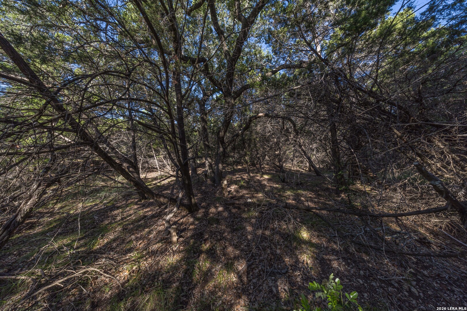 30244 Cloud View Drive Bulverde TX 78163