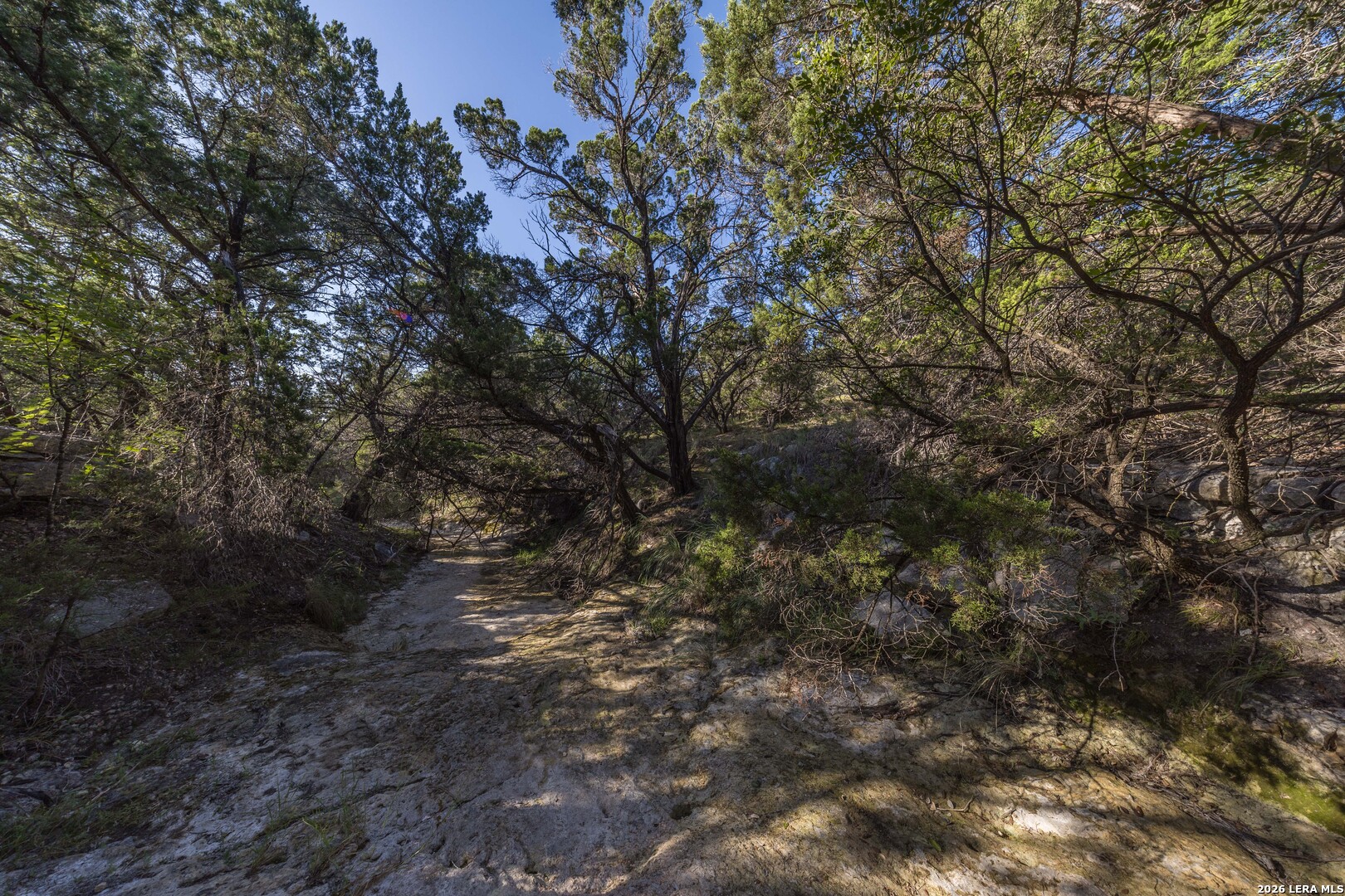 30244 Cloud View Drive Bulverde TX 78163