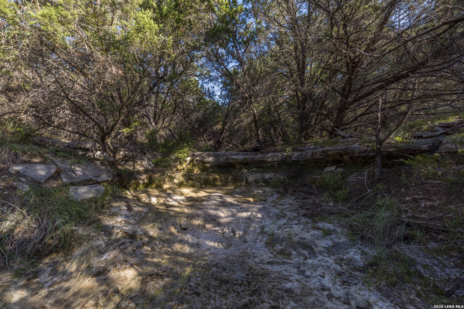 30244 Cloud View Drive Bulverde TX 78163