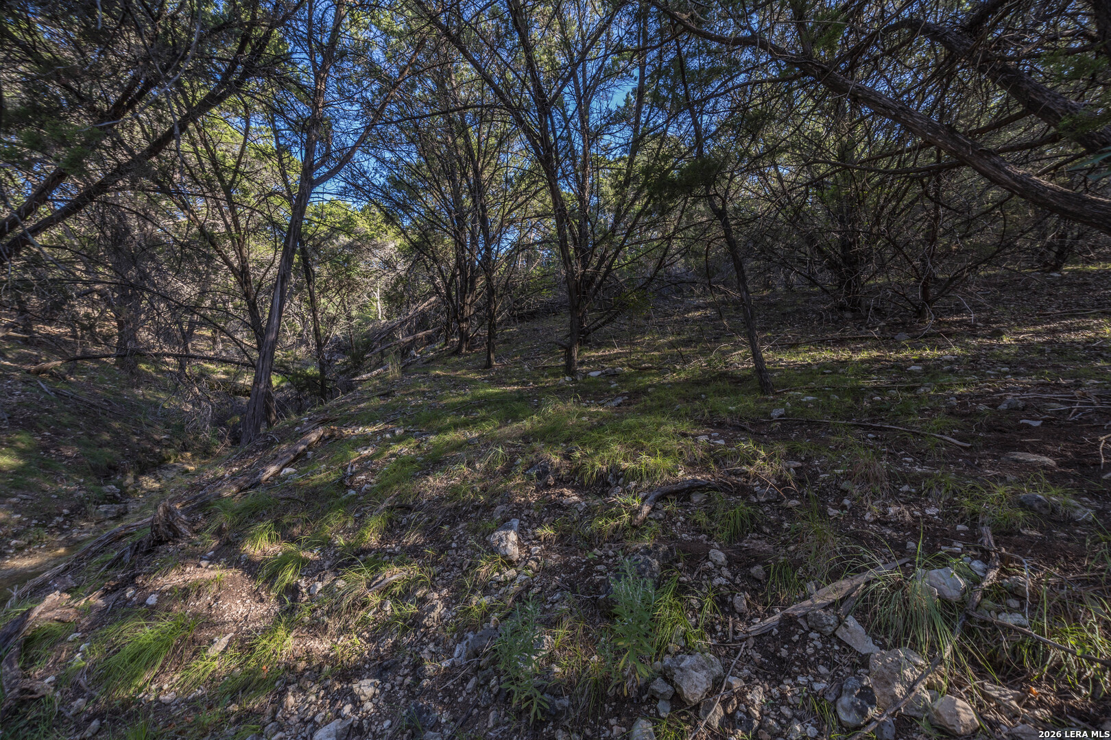 30244 Cloud View Drive Bulverde TX 78163