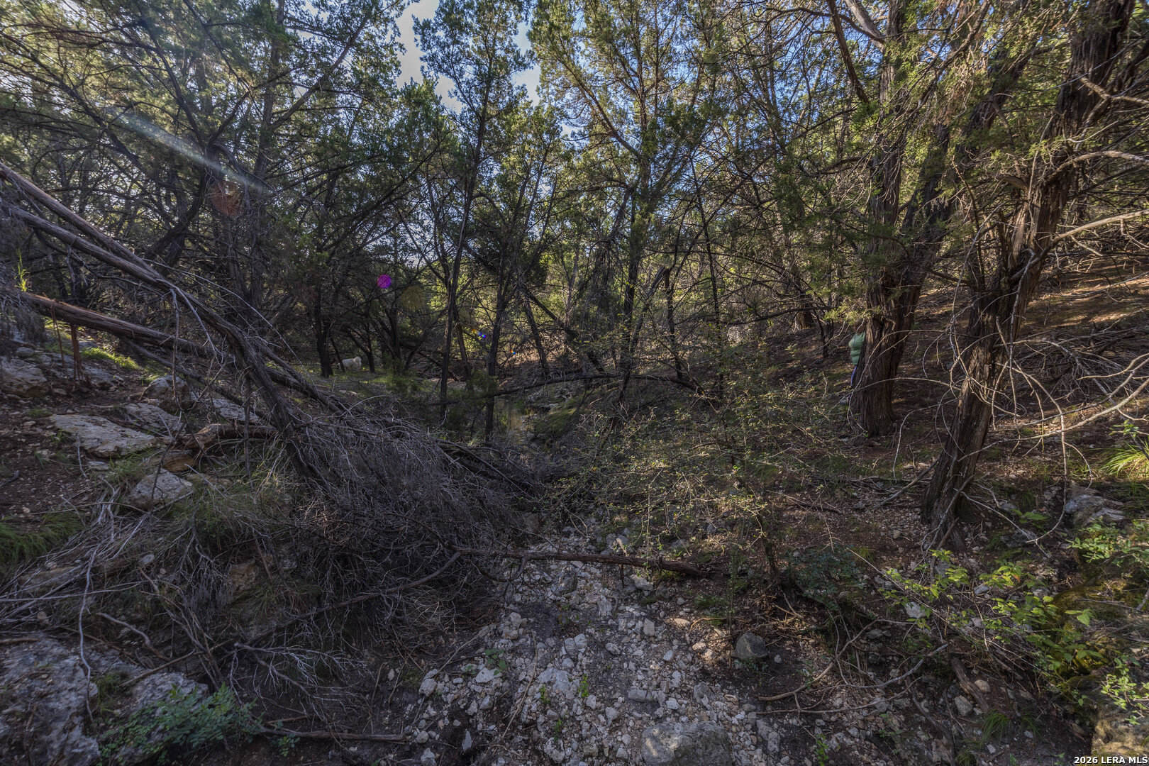 30244 Cloud View Drive Bulverde TX 78163