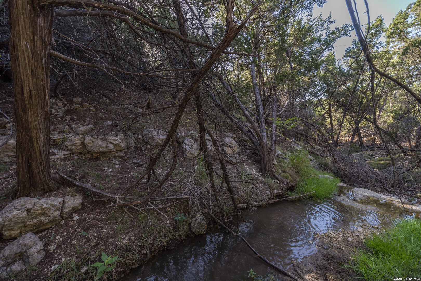 30244 Cloud View Drive Bulverde TX 78163