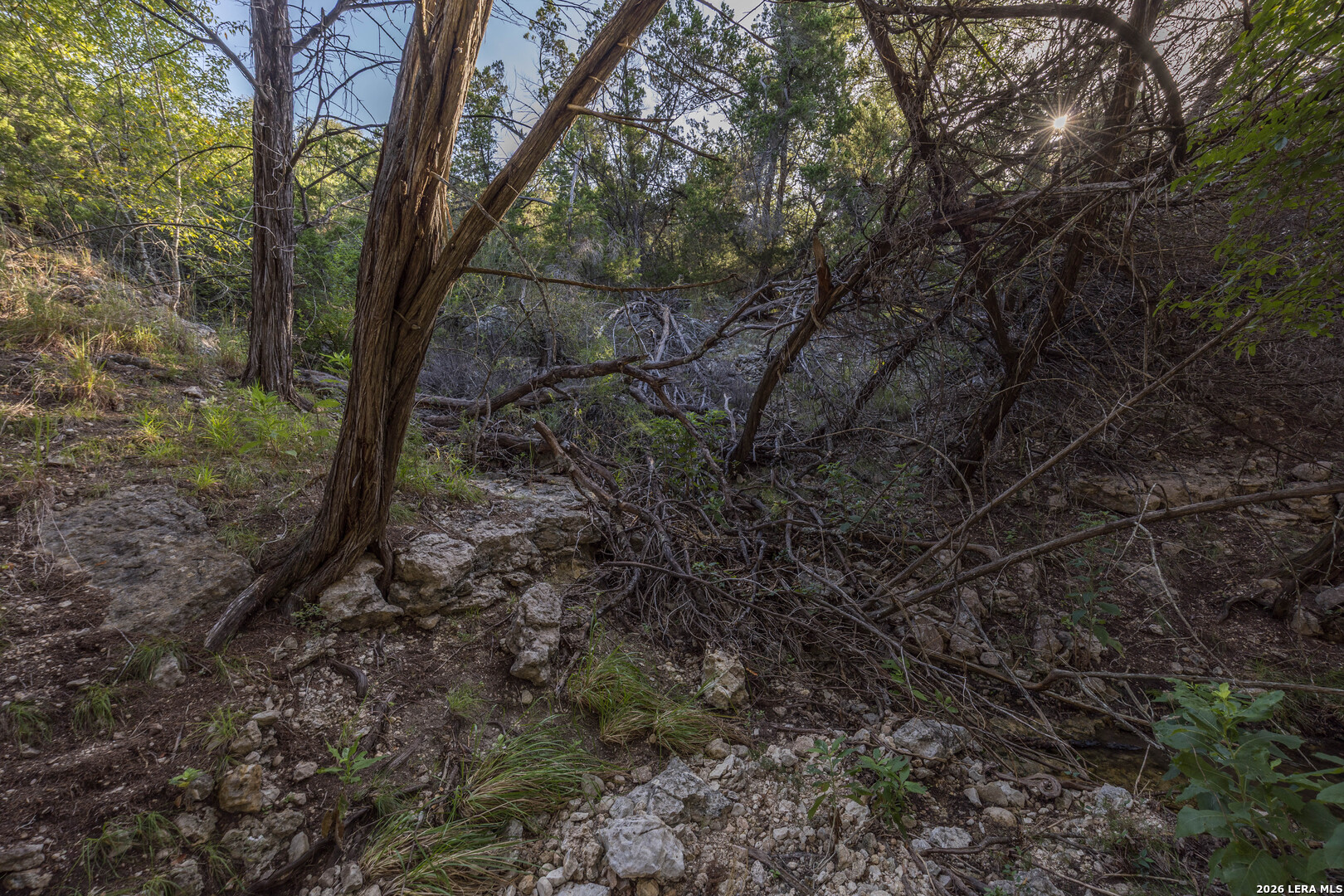 30244 Cloud View Drive Bulverde TX 78163