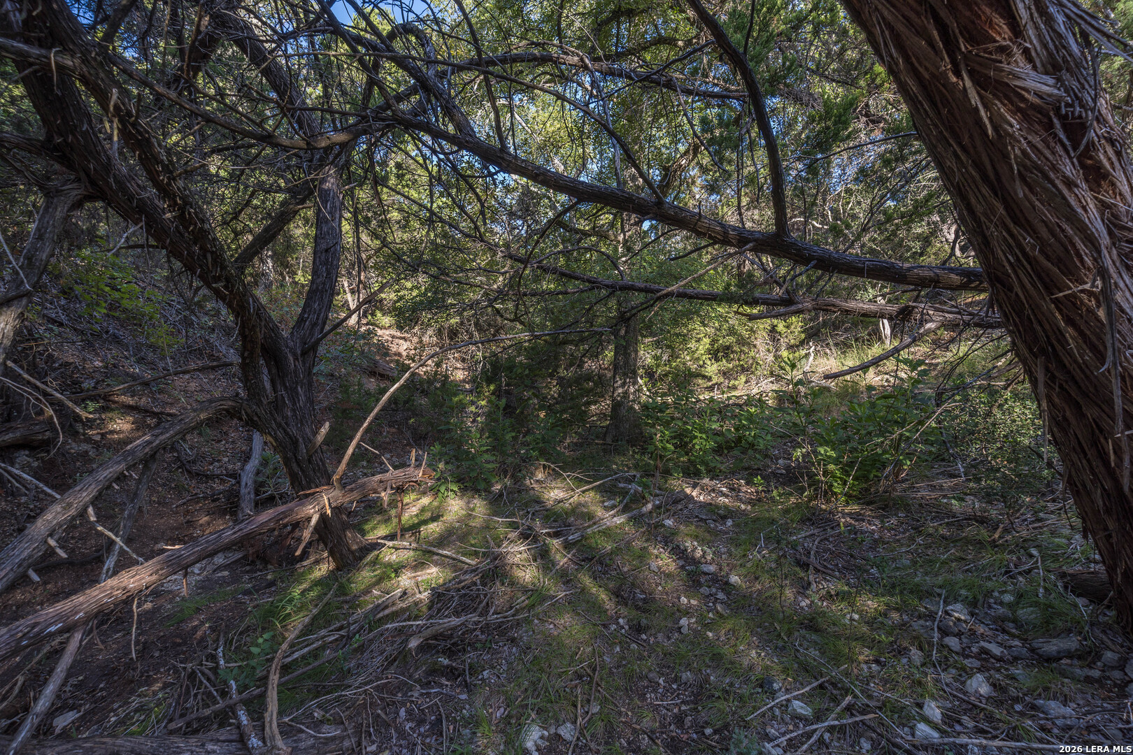 30244 Cloud View Drive Bulverde TX 78163
