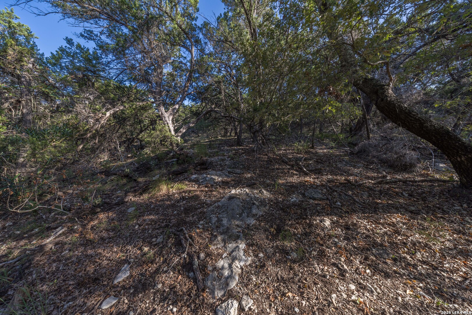30244 Cloud View Drive Bulverde TX 78163