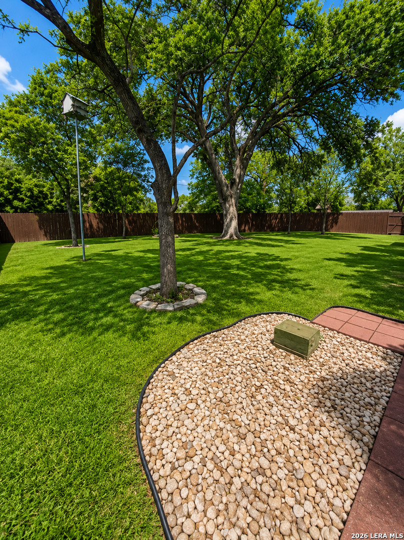 427 Indigo San Antonio TX 78216