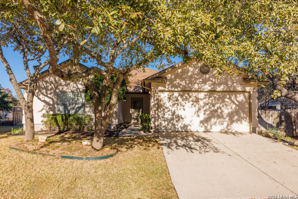 2203 Stanton Oaks San Antonio TX 78259