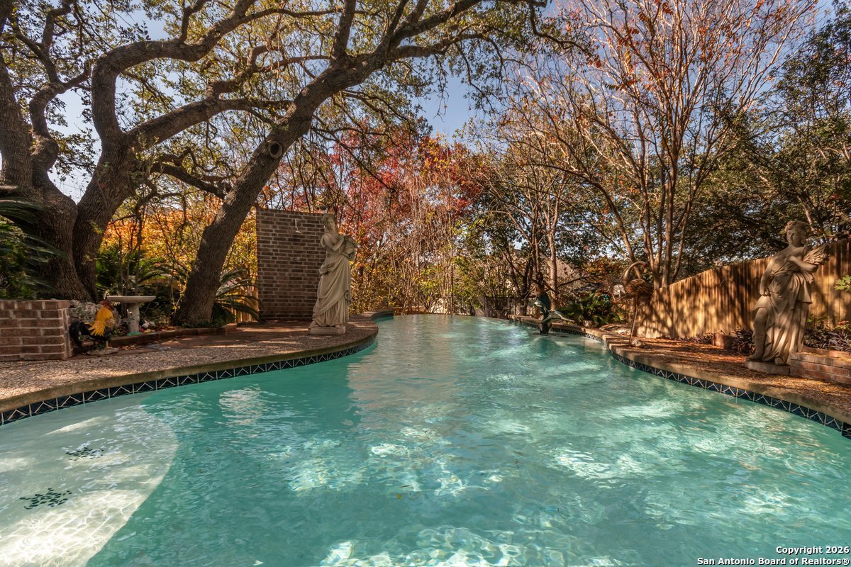 19539 Crystal Oak San Antonio TX 78258