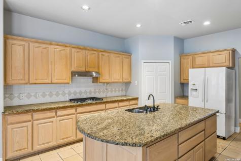 6542 Amber Oak San Antonio TX 78249