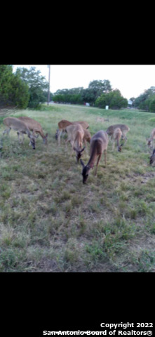 155 Pr 1513 Bandera TX 78003
