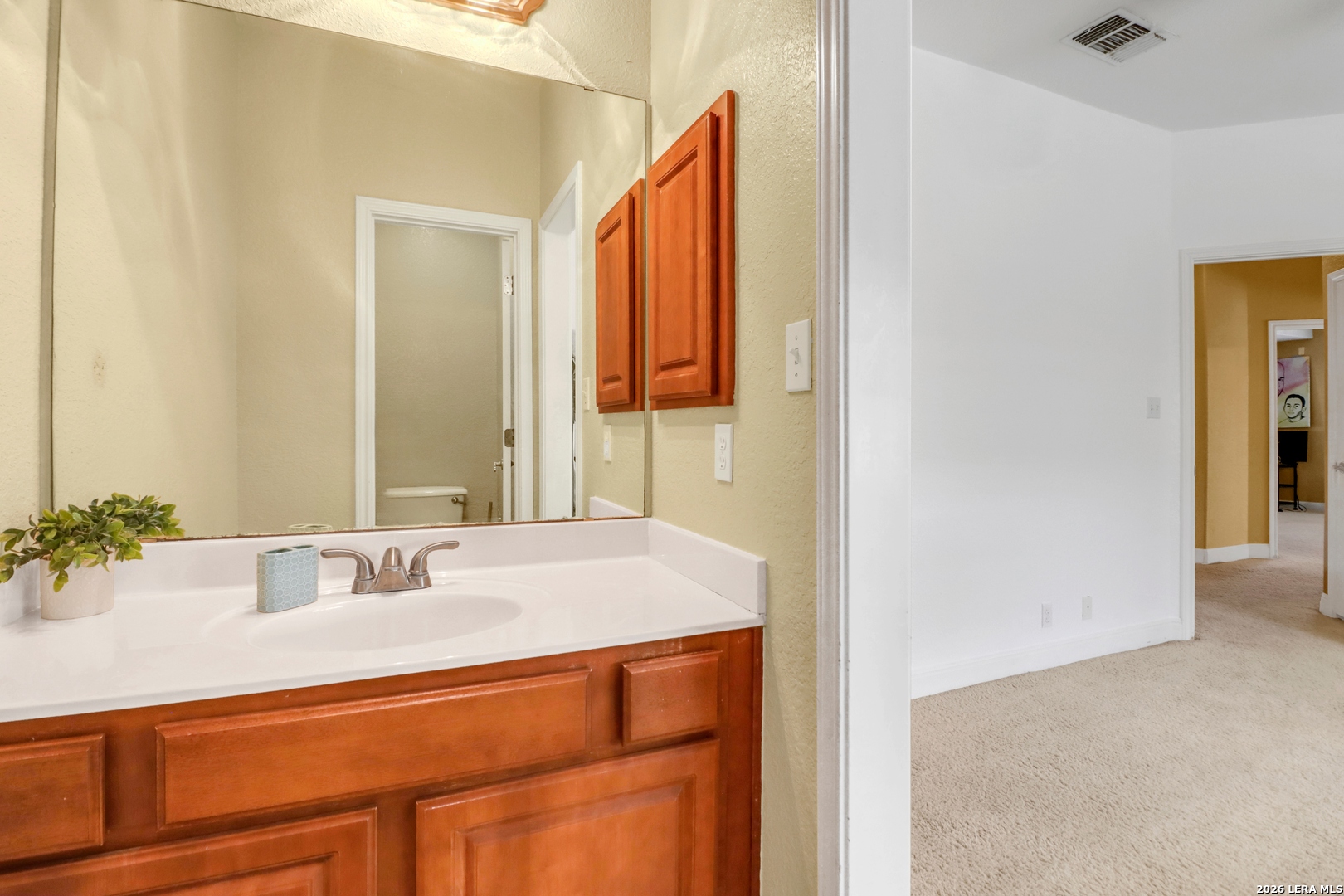 19007 Sweet Mary San Antonio TX 78255