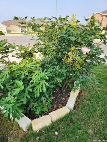 13215 Turnesa Terrace San Antonio TX 78221