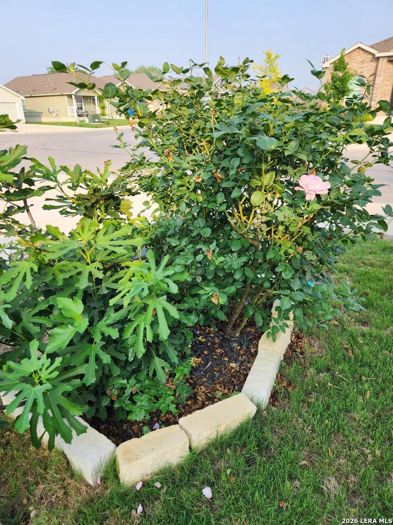 13215 Turnesa Terrace San Antonio TX 78221