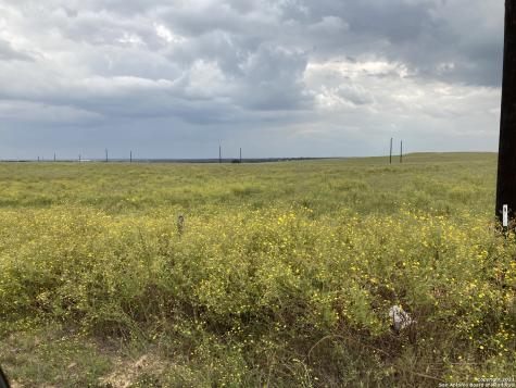 1083 County Road 319 La Vernia TX 78121