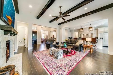 24008 Gran Palacio San Antonio TX 78261