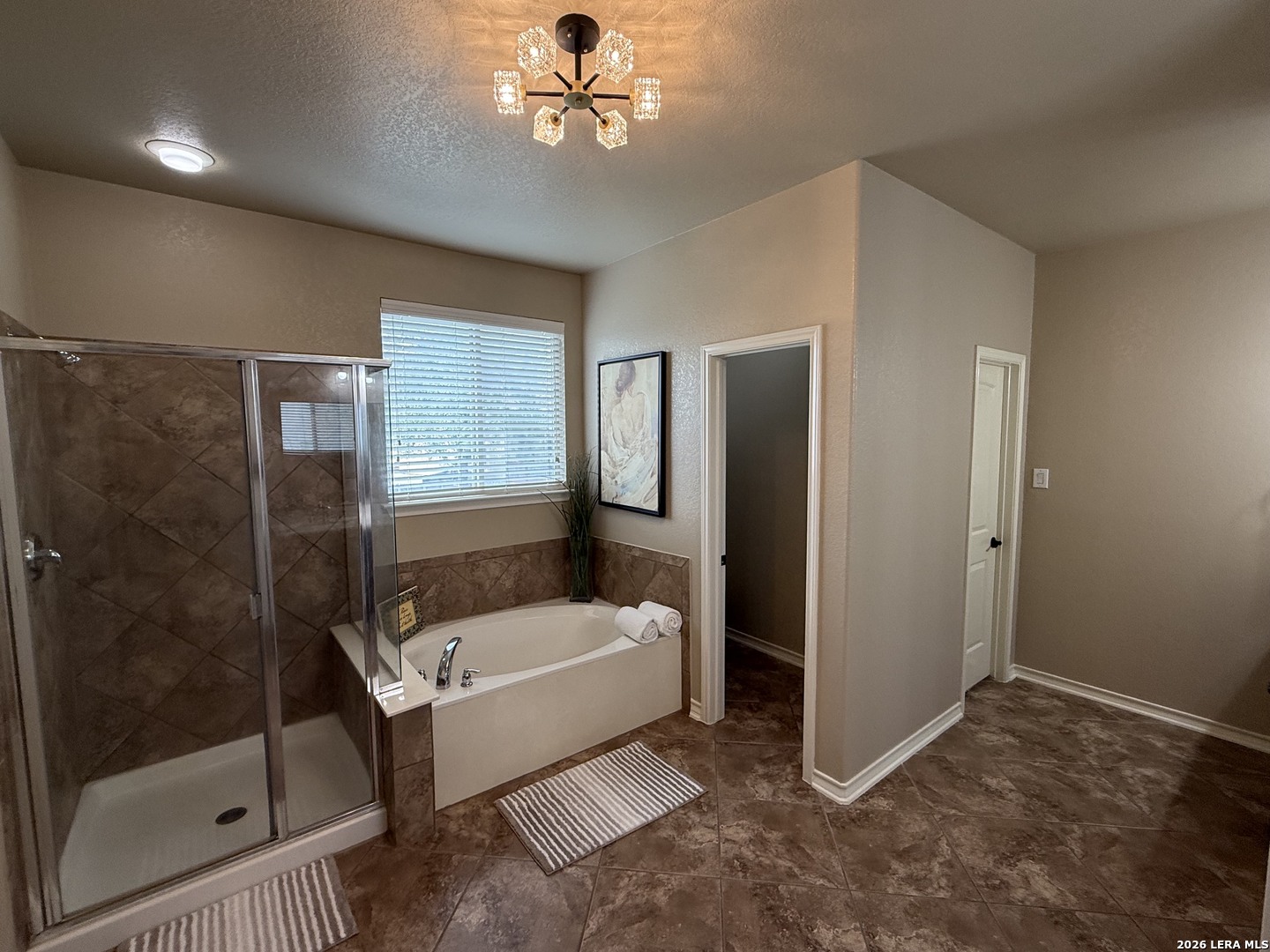 315 Chloe Heights San Antonio TX 78253