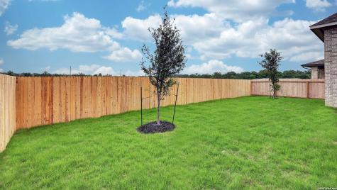 10006 Forelock Creek San Antonio TX 78254